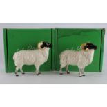 Beswick. Two boxed Beswick Boreray Sheep figures, tallest 12cm approx.