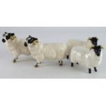 Beswick. Four Beswick figures, comprising two black faced rams & two black faced sheep, tallest 8.