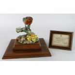 Royal Worcester porcelain figure by Dorothy Doughty 'Robin in the Autumn Woods', framed