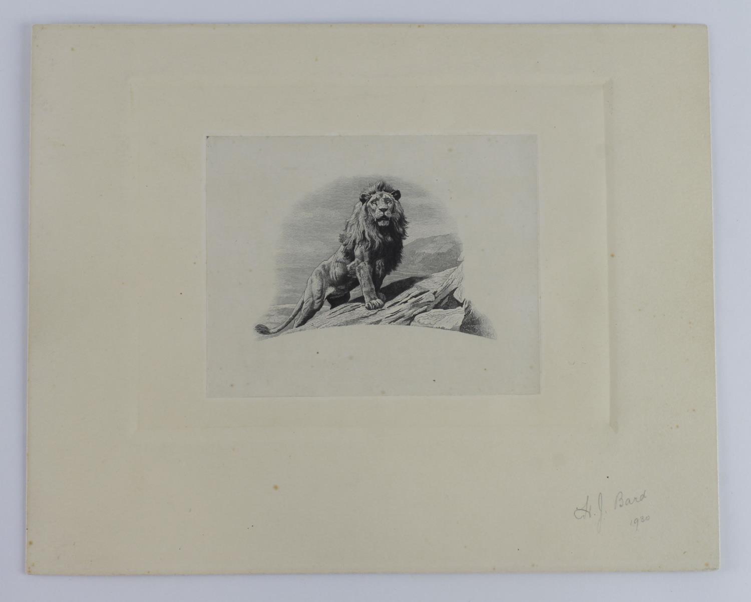 Southern Rhodesia Vignette Engraving of Lion by Harold J Bard handsigned and dated 1930, this design