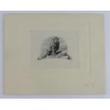 Southern Rhodesia Vignette Engraving of Lion by Harold J Bard handsigned and dated 1930, this design