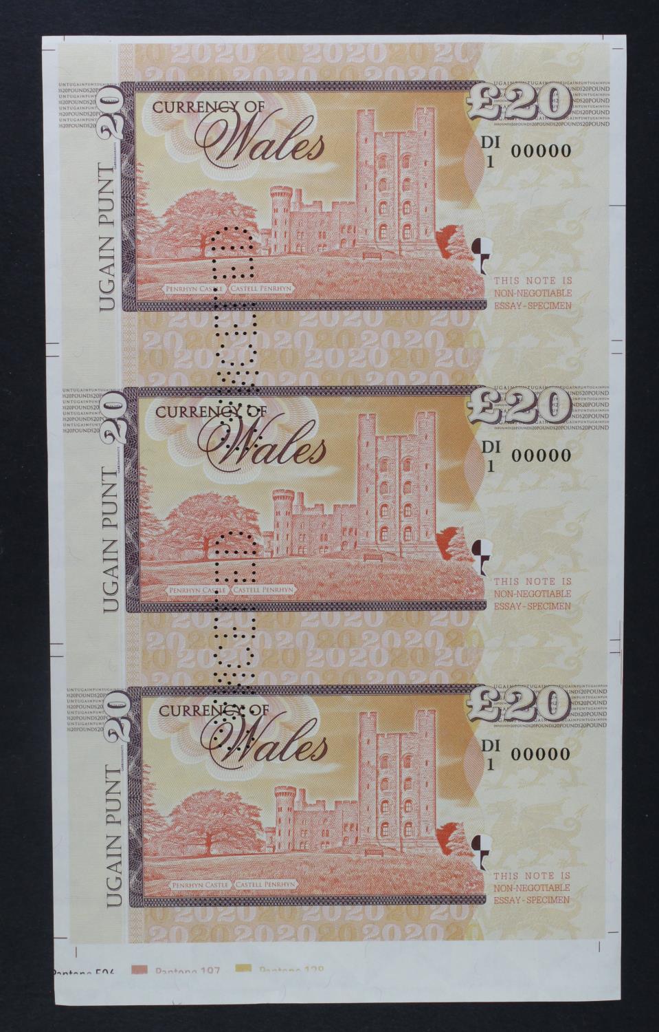 Test Note, 20 Pounds Banknote of Wales (not legal tender), private essay security printing - Image 2 of 2