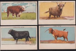 Trade cards, Liebig, Types of Lemco Cattle (Oxo Cattle Studies), 'P' size (set, 6 cards) (some