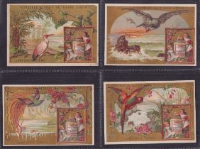 Trade cards, Liebig, French Language, Birds V, (inset to right) S101, (set, 6 cards, one sl stained,