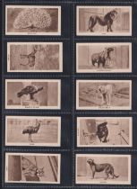 Trade cards, Sword & Co, Zoo Series (Brown) (set, 25 cards) (vg)