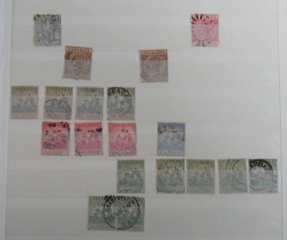 Stamps, Barbados, Bermuda and Cayman Islands duplicated collection mint and used housed in a quality - Image 3 of 6