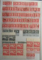 Stamps, Malta duplicated collection mint and used housed in a quality 64 side stockbook from a