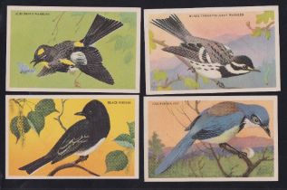 Trade cards, USA, Loma Linda Food Company, Beautiful Birds of the West, 'P' size (18/24, one with