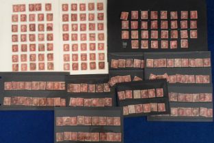 Stamps, GB QV 1d reds used, on stockcards and album pages mainly plate numbers, mixed condition. (
