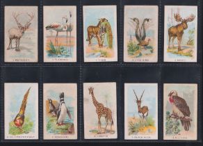 Cigarette cards, China, Anon, Animals & Birds (ref ZE6-O-A), brown printed backs, (set 50 cards) (