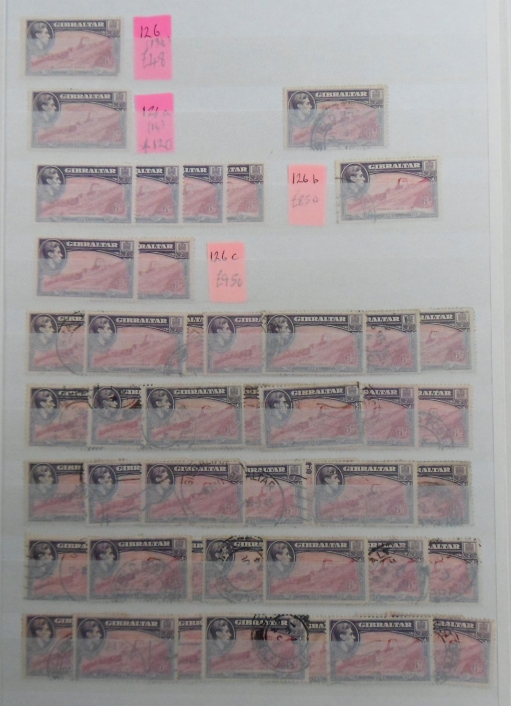 Stamps, Gibralter duplicated collection mint and used housed in a quality 64 side stockbook from a - Image 3 of 5