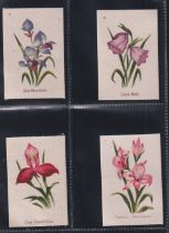 Tobacco silks, UTC (South Africa), South African flowers (set 50 silks) (all with original backs,