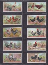 Cigarette cards, Ogden's, Poultry, 2 sets, (1-25, no Ogden's on front) & 2nd Series (26-50) (gd)