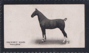 Cigarette card, Taddy, Famous Horses & Cattle, type card, no 33, Hackney Mare, 'Pavlova' (gd) (1)