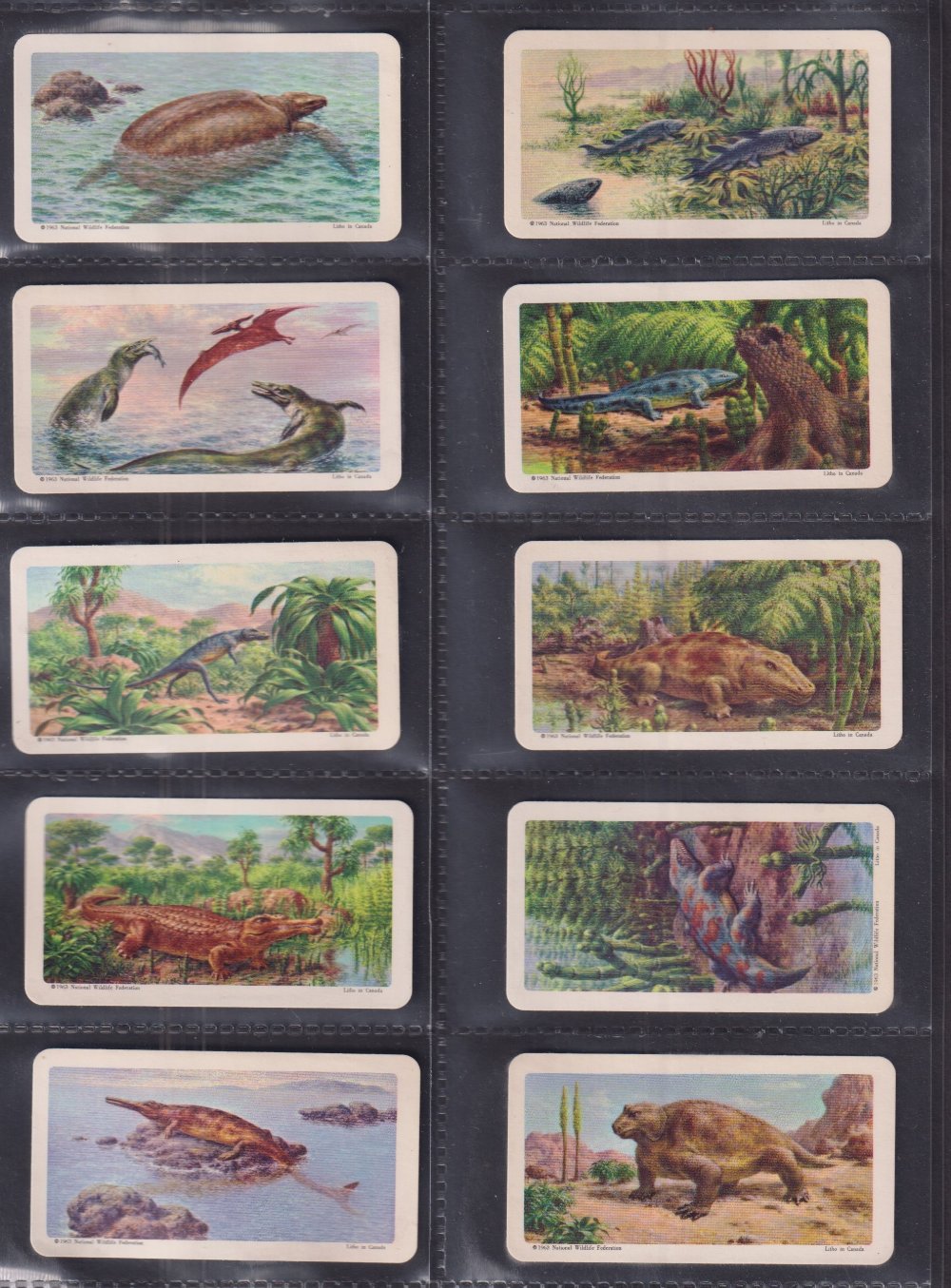 Trade cards, Brooke Bond (Canada), a collection of 17 sets inc. Dinosaurs, Songbirds of North