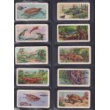 Trade cards, Brooke Bond (Canada), a collection of 17 sets inc. Dinosaurs, Songbirds of North