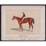 Cigarette card, USA, Kinney Bros, Racehorses, extra large non-insert card, 'Dew Drop', 253mm x 203mm