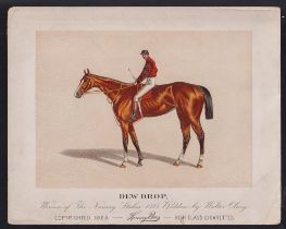 Cigarette card, USA, Kinney Bros, Racehorses, extra large non-insert card, 'Dew Drop', 253mm x 203mm