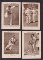 Trade cards, Book Tallies, English Cricketers, 'P' size, (10/12 missing nos 9 & 11) (gd)