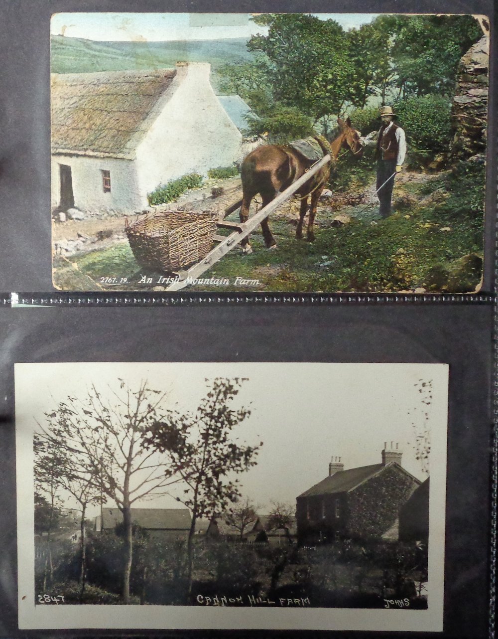 Postcards and Photographs, Farming, 200+ images showing tractors, traction engines, poultry, sowing, - Image 3 of 4