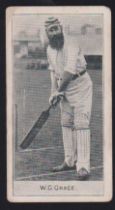 Cigarette card, D. & J, MacDonald, Cricketers, type card, W. G. Grace (light scratch to face,