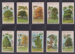 Trade cards, Cadbury's, British Tree Series, two sets (12 cards in each set), one set base of