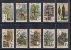 Cigarette cards, Gallaher, 2 sets The Great War 1st Series 100 cards (grubby, fair) & Woodland Trees