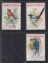 Trade cards, Cadbury's, Birds, 'XL' size, all three known cards, The Magpie, The Robin & The Swallow