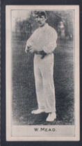 Cigarette card, D. & J, MacDonald, Cricketers, type card, W. Mead (vg) (1)