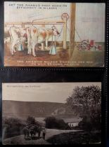 Postcards, Pigs, Cows and Sheep, 200+ cards, RPs, printed and artist drawn showing different types