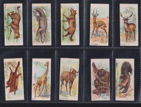 Cigarette cards, Player's, Wild Animals of the World (Narrow, With Ltd) (43/45, missing Black Iguana