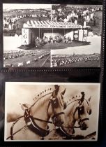 Postcards, Farming, a collection of 29 cards showing agricultural shows (Royal Berkshire Show, Great