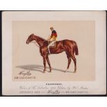 Cigarette card, USA, Kinney Bros, Racehorses, extra large non-insert card, 'Elkwood', 253mm x