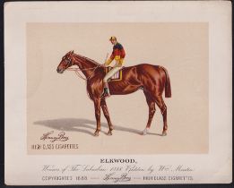 Cigarette card, USA, Kinney Bros, Racehorses, extra large non-insert card, 'Elkwood', 253mm x