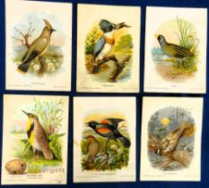 Trade cards, USA, Geo. Marsh & Co, New England Birds, two different sets, one numbered 1-20, the