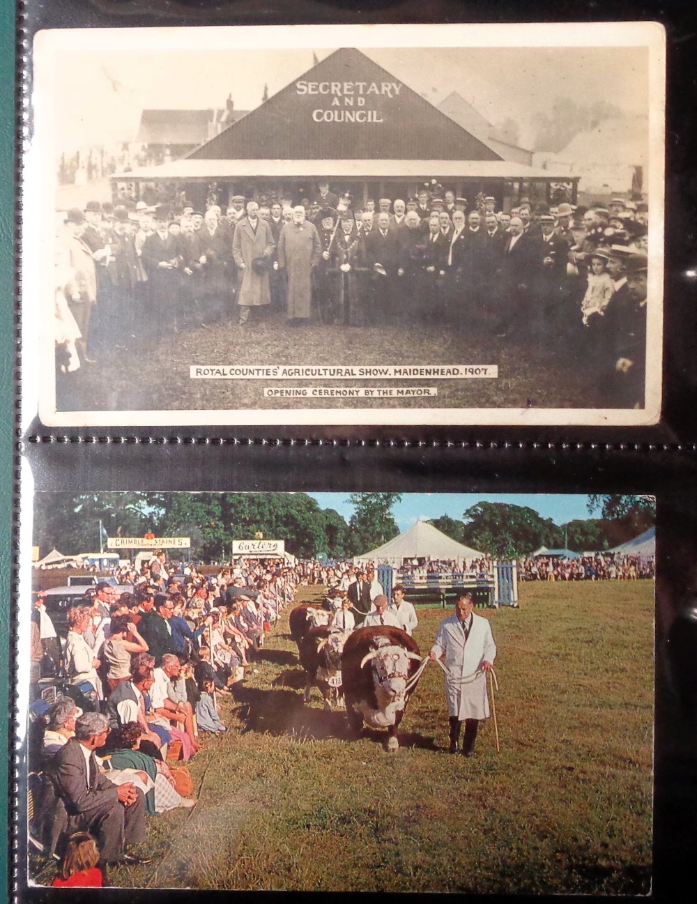 Postcards, Farming, a collection of 29 cards showing agricultural shows (Royal Berkshire Show, Great - Image 2 of 2