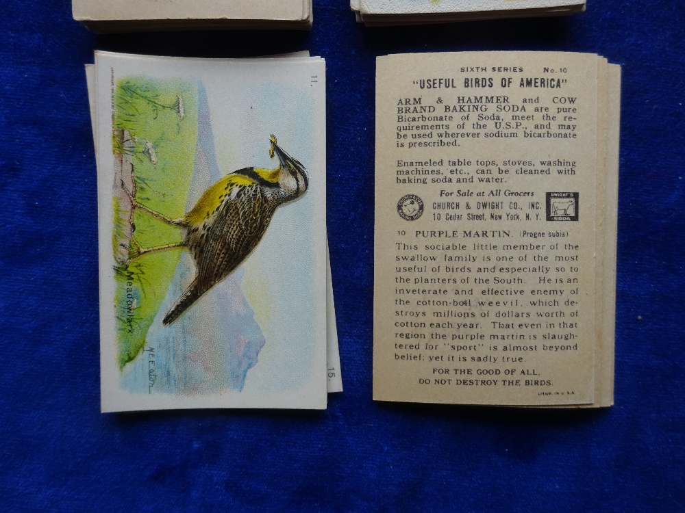 Trade cards, Church & Dwight Useful Birds of America, 2 sets 1st series (30 cards) & 6th series ( - Image 3 of 3