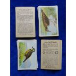 Trade cards, Church & Dwight Useful Birds of America, 2 sets 1st series (30 cards) & 6th series (