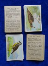 Trade cards, Church & Dwight Useful Birds of America, 2 sets 1st series (30 cards) & 6th series (