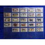 Cigarette cards, 2 sets, Edwards Ringer Bigg Dogs 23 cards, Gallaher Zoo Aquarium 100 cards (gd/vg)