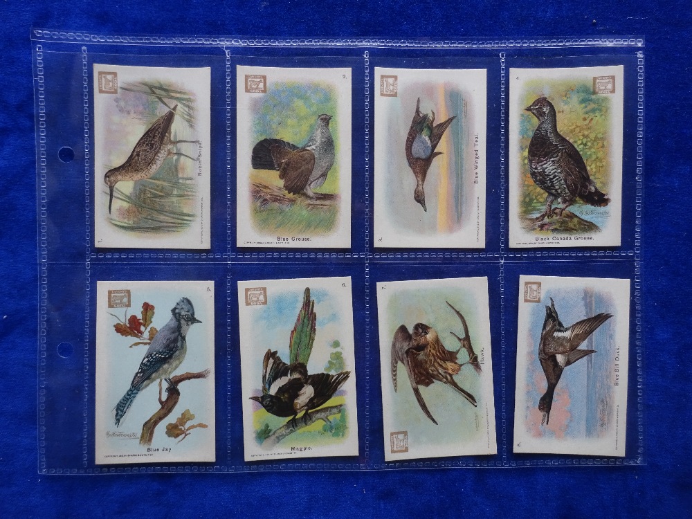 Trade cards, Church & Dwight, New Series of Birds series A, set 30 cards (gd)