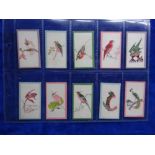 Cigarette cards, Wills Overseas, Ruby Queen Brand Birds of the East, set 50 cards (fair / mainly