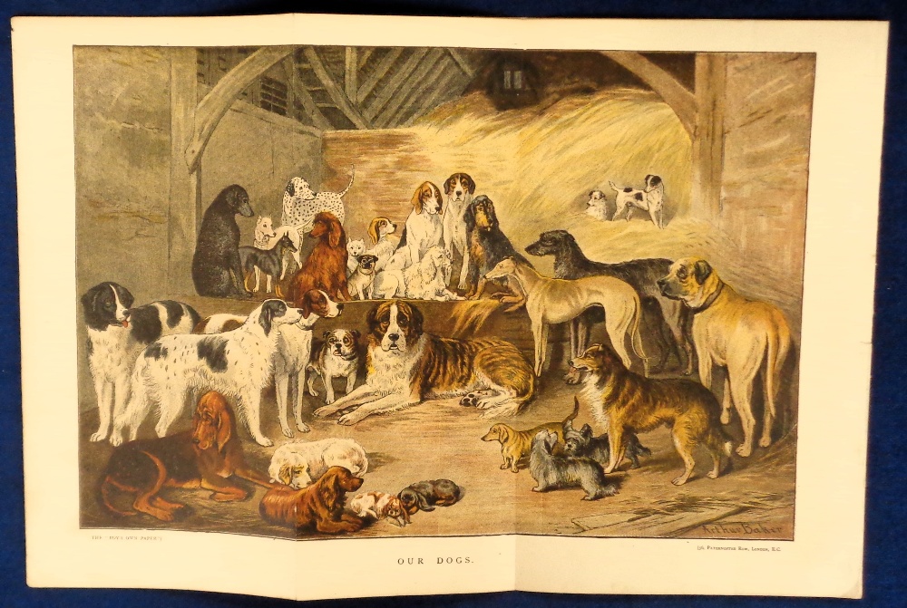 Ephemera, 5 1880s chromolithographed centre spreads from Boys Own Paper to include dogs, rabbits, - Image 3 of 3