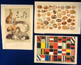 Ephemera, 5 1880s chromolithographed centre spreads from Boys Own Paper to include dogs, rabbits,