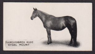 Cigarette card, Taddy, Famous Horses & Cattle, type card, no 3, Thoroughbred Mare, 'Rydal Mount' (