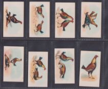 Cigarette cards, BAT Eagle Bird Cock Fighting, 8 cards (3 cards gd 5 cards slight staining on