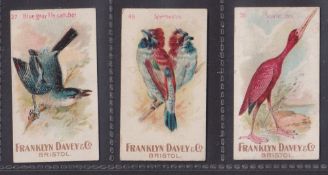 Cigarette cards, Franklyn & Davey Birds, 3 cards numbers 20, 27, 49 (just about gd)