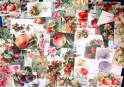 Postcards, a good selection of approx. 65 cards showing flowers, fruit, berries, nuts, still life