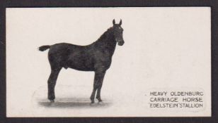 Cigarette card, Taddy, Famous Horses & Cattle, type card, no 27, Oldenburg Stallion, 'Edelstein' (
