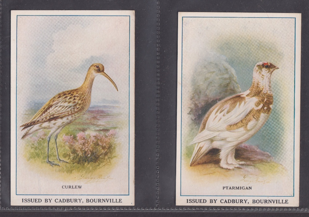 Trade cards, Reward cards, P Size x 5 - Cadbury Bournville (4) Common Gull, Golden Eagle, Curlew, - Image 3 of 6